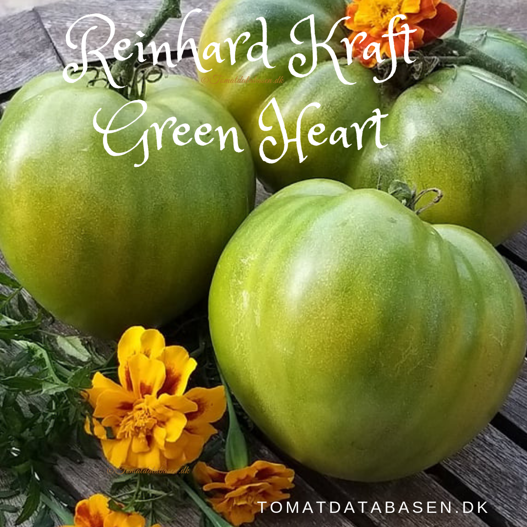 Reinhard Kraft Green Heart